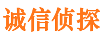 崇明找人公司